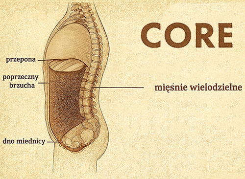 “CORE” – centrum Twojej stabilizacji.  Dlaczego jest taki ważny?